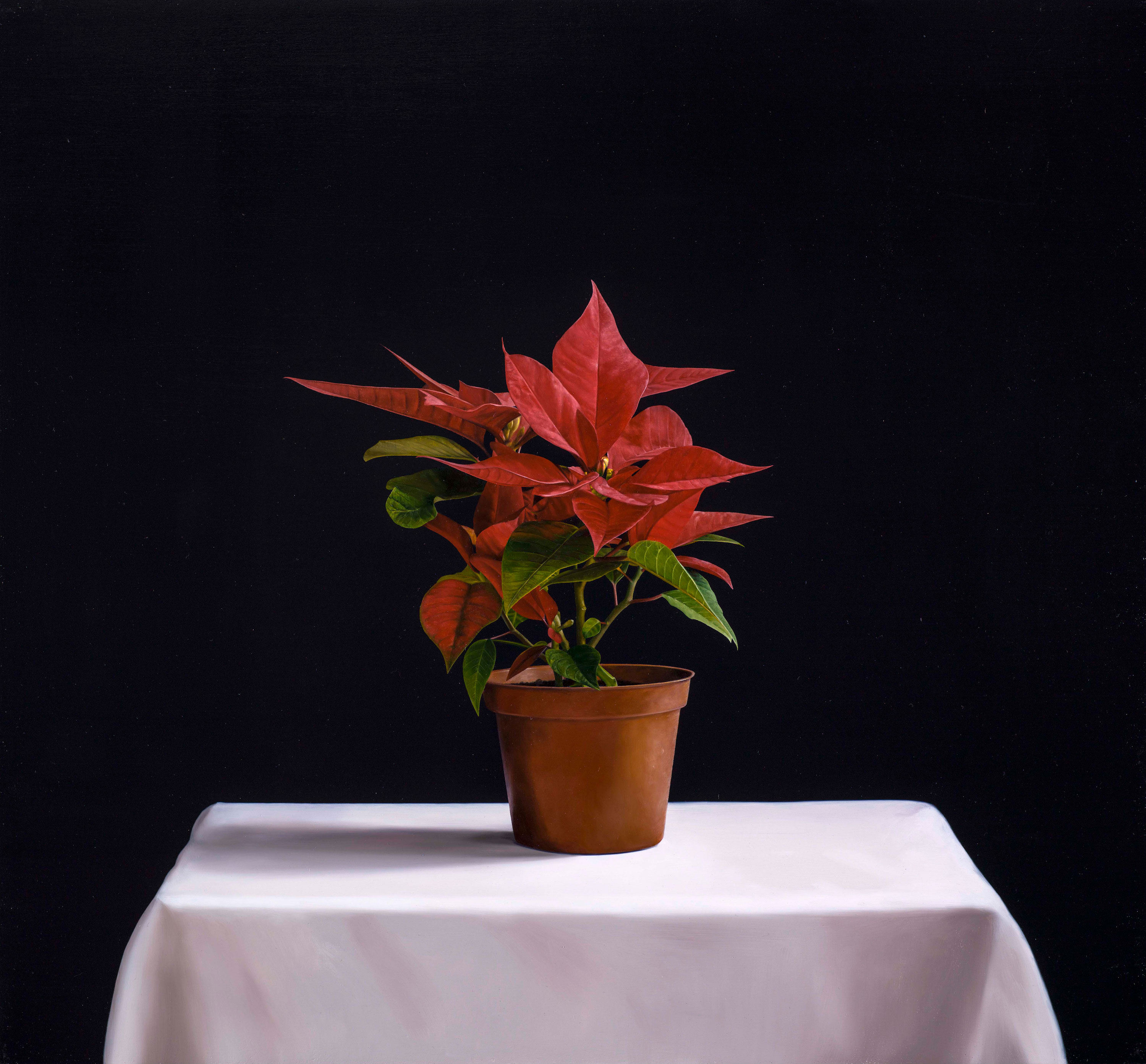 Expressed through Objects|借物抒情作品-A Flower Is Not A Flower|花非花|,Oil on linen mounted on
								panel|油彩木板裱麻,60 x 65 cm|2013